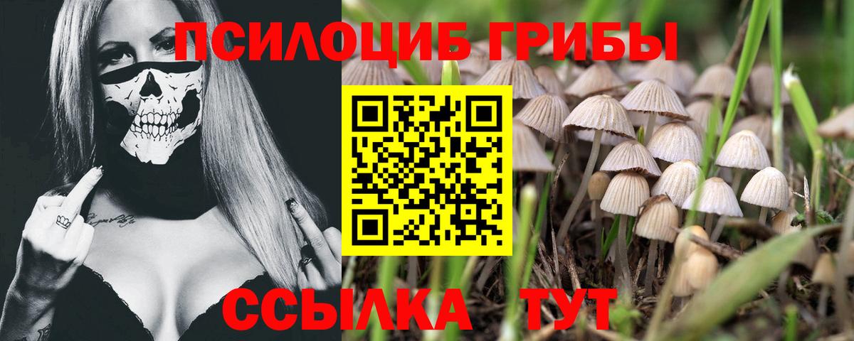 Псилоцибиновые грибы Psilocybine cubensis  цены   Пермь  Галлюциногенные грибы Psilocybine cubensis  Вход с VPN 